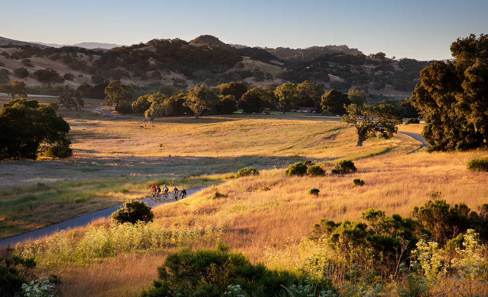 Santa Lucia Preserve